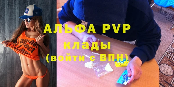 МДПВ Богородск