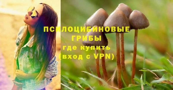 mdpv Богданович