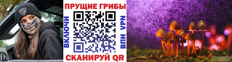 Псилоцибиновые грибы мухоморы  Армавир 