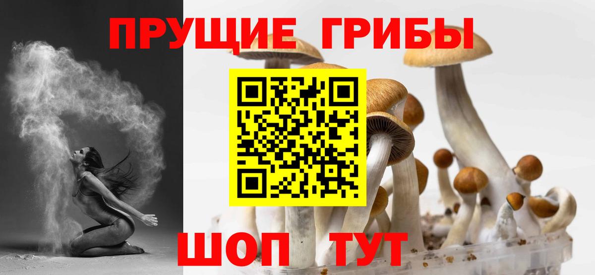 Псилоцибиновые грибы Psilocybine cubensis  Вход с VPN  Псилоцибиновые грибы Psilocybe  Армавир 